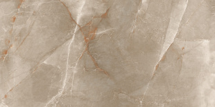 Керамогранит Ceraland Bostone Brown (60х120) глянец